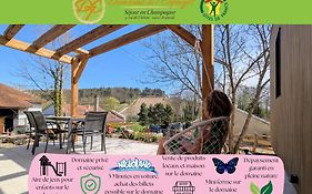 Domaine des 7 cépages